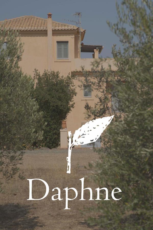 فيلا Daphne إرميوني المظهر الخارجي الصورة